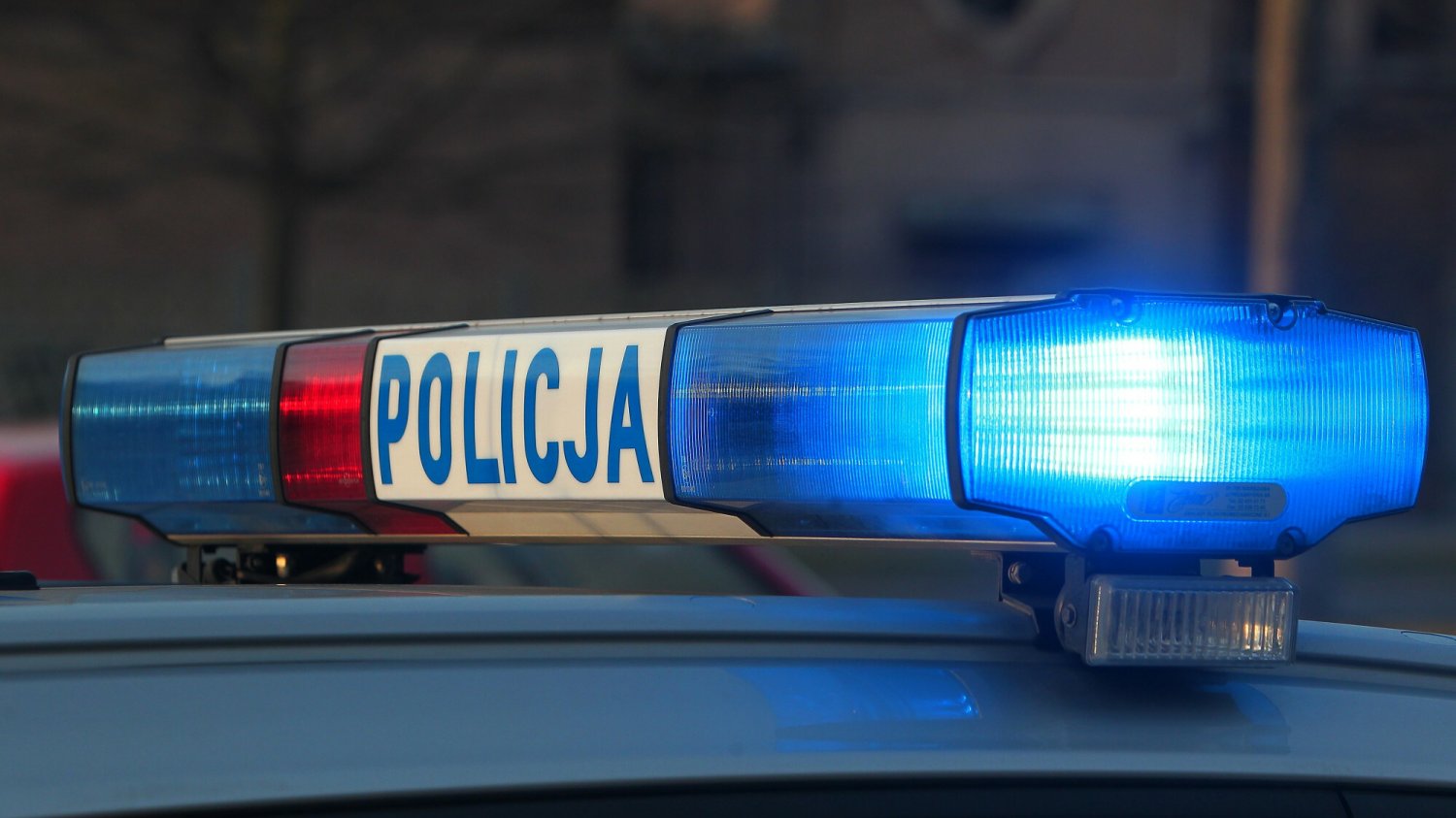 Policjanci znaleźli atrapy broni w samochodzie obywatela Ukrainy.