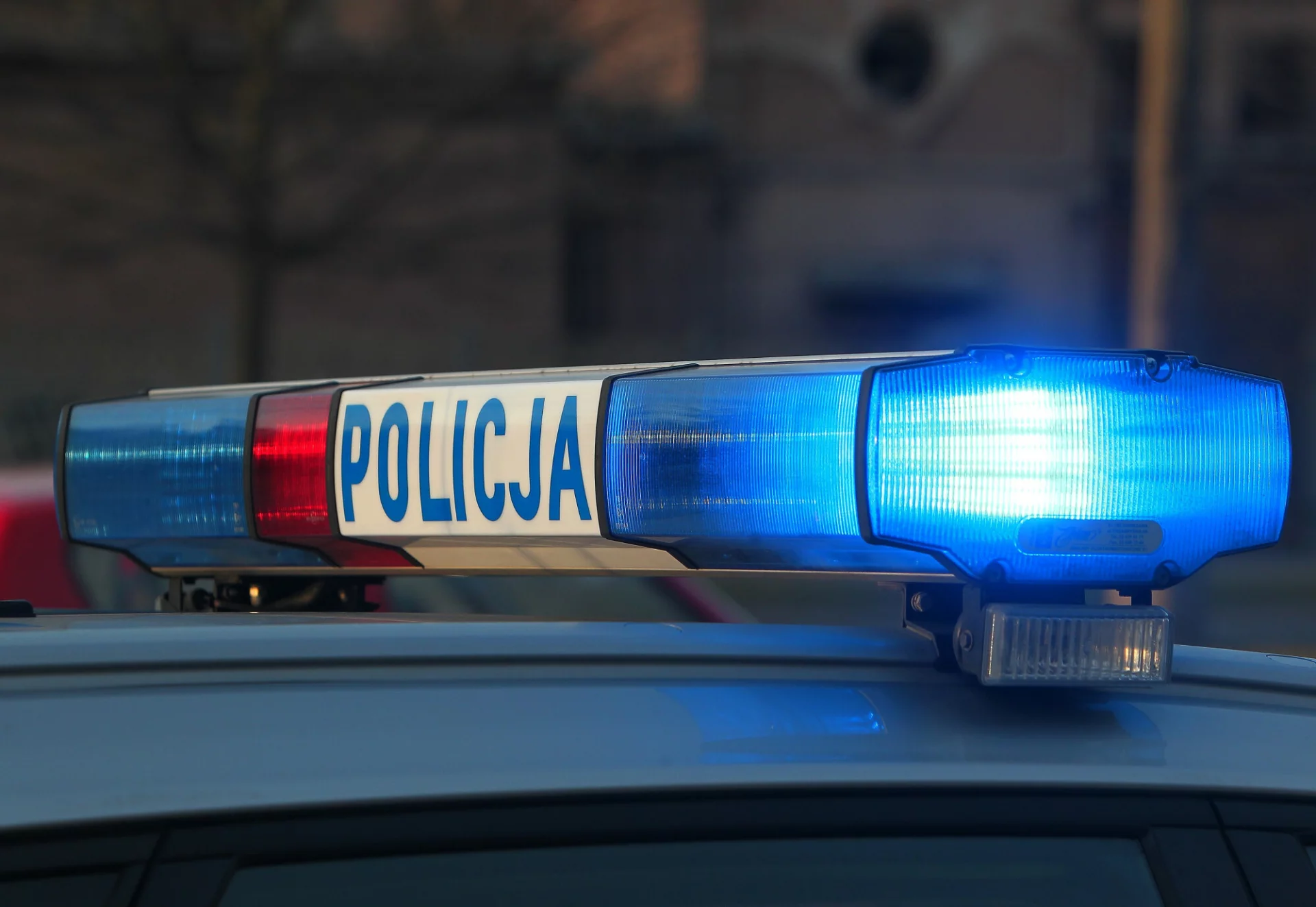 Policjanci znaleźli atrapy broni w samochodzie obywatela Ukrainy.