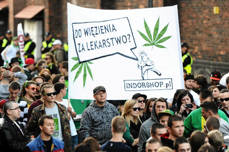 Rodziny chorych często nielegalnie zaopatrywały się w leki na bazie konopi, ponieważ dostęp do nich był bardzo utrudniony.