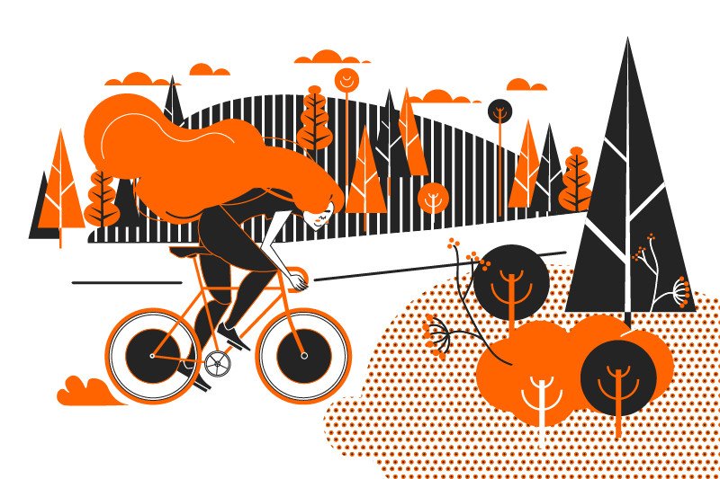 Fundacja "Las na zawsze" sadzi lasy w całej Polsce.