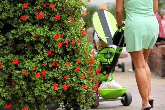 Dzisiejsze uczelnie stają się coraz bardziej otwarte na innowacyjne projekty.