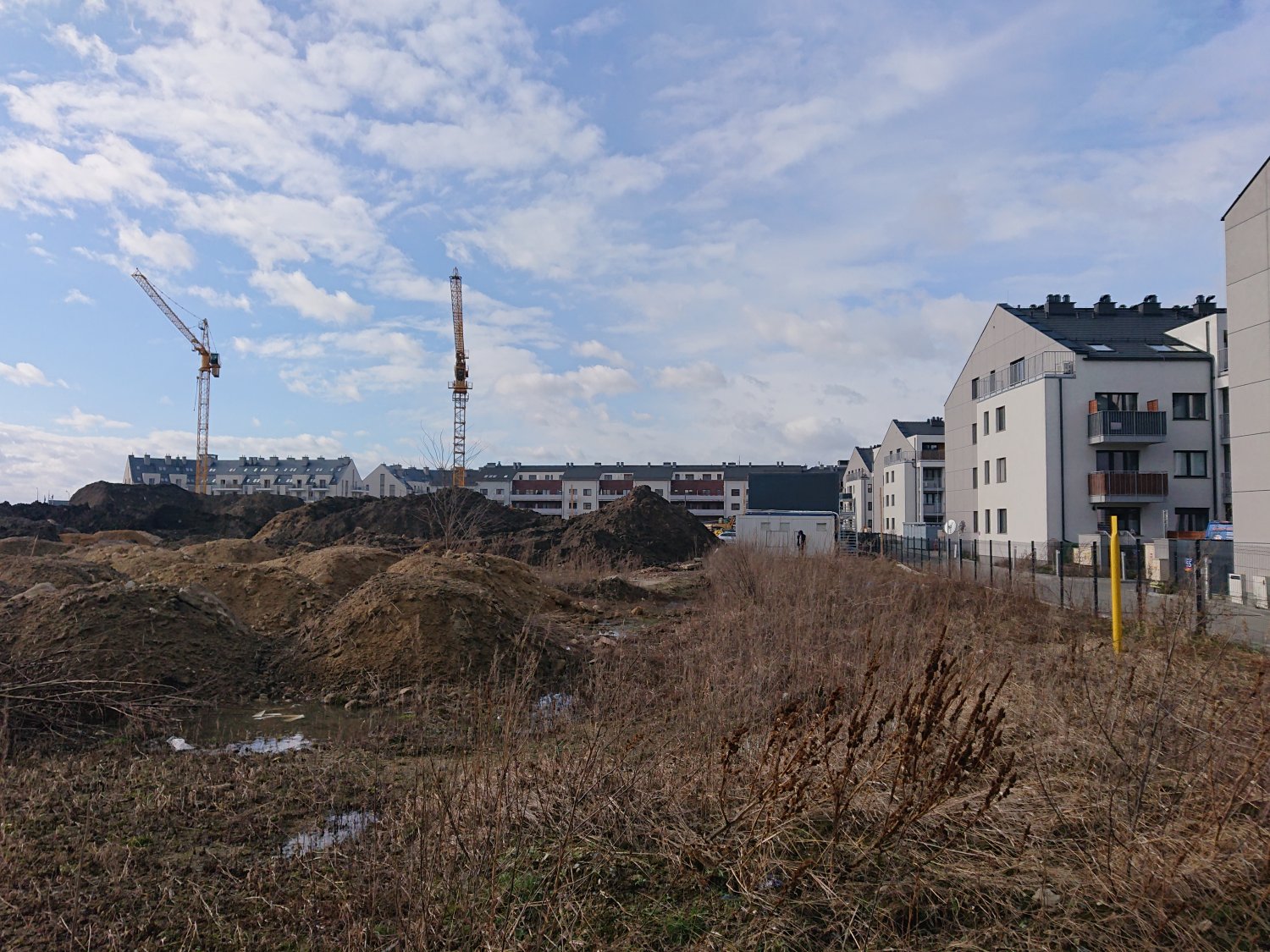 Wrocław rośnie w oczach.