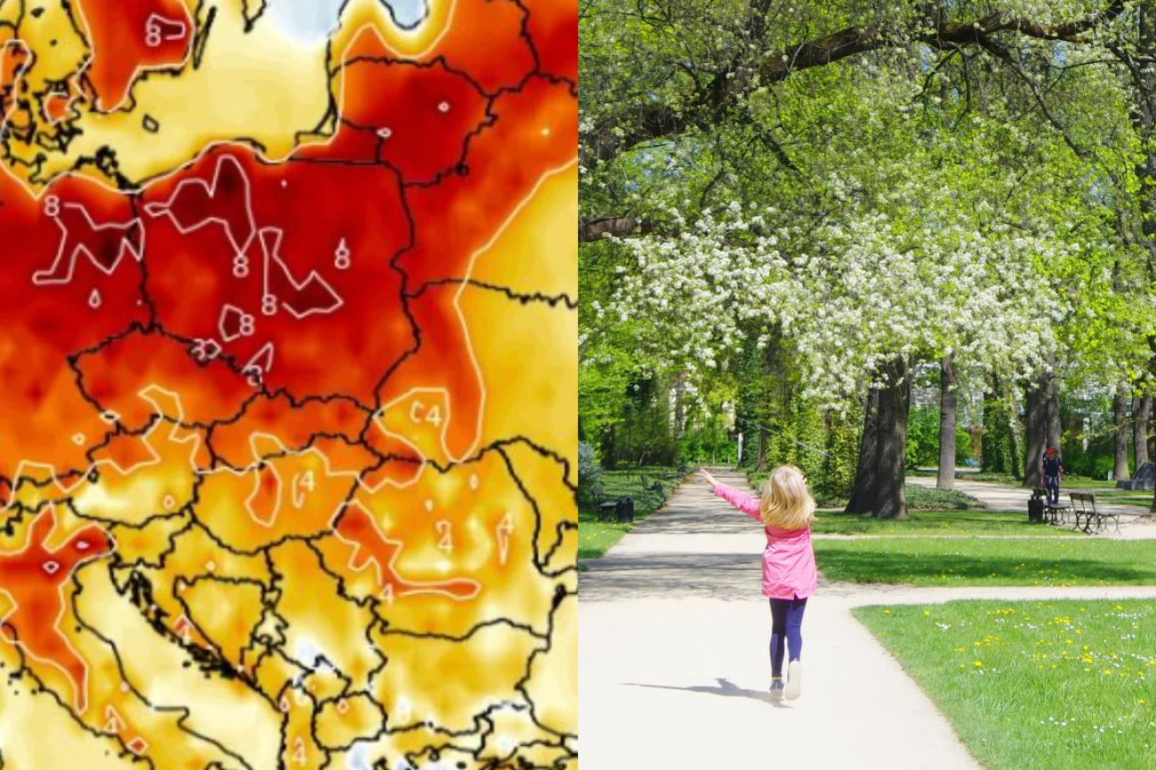 Kiedy wreszcie przyjdzie wiosna? Druga połowa kwietnia 2023 ma być ciepła