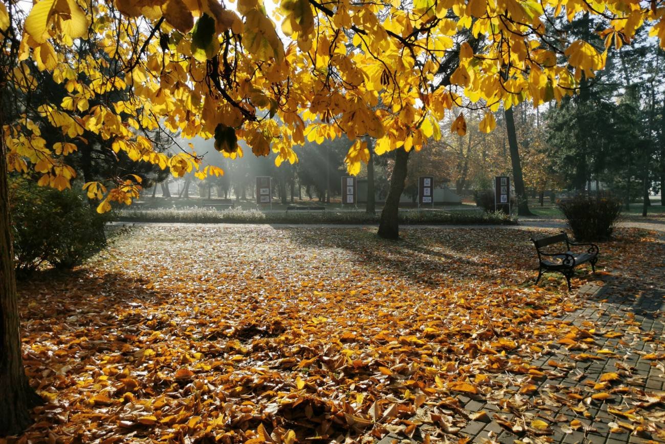 Pogoda na długi weekend będzie lepsza niż przewidywano. Ponad 20 stopni