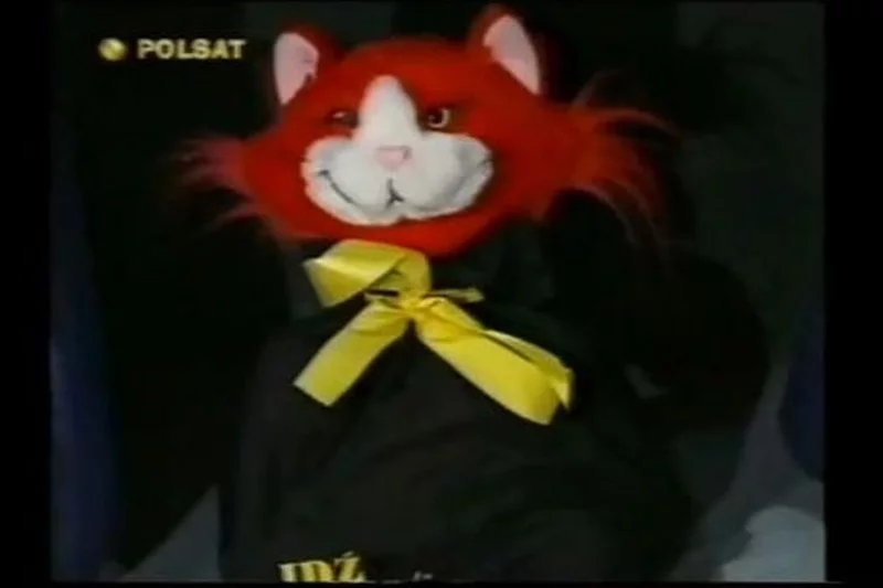 Kot "Zonk" to symbol programu "Idź na całość".
