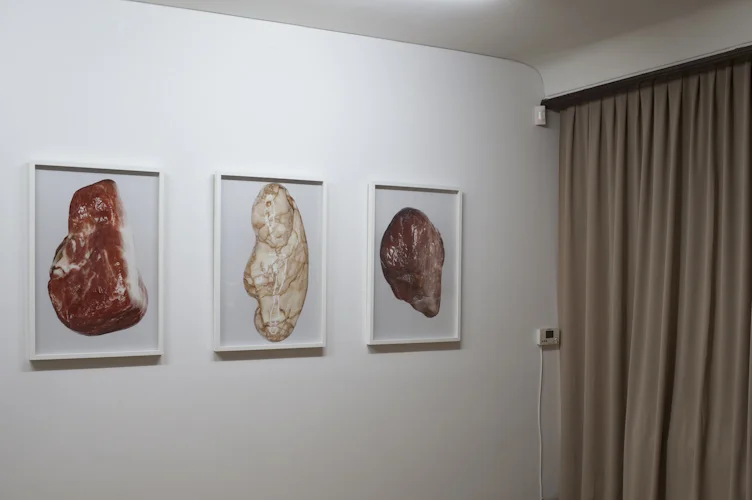 Witek Orski "Wulgarne", Galeria Czułość
