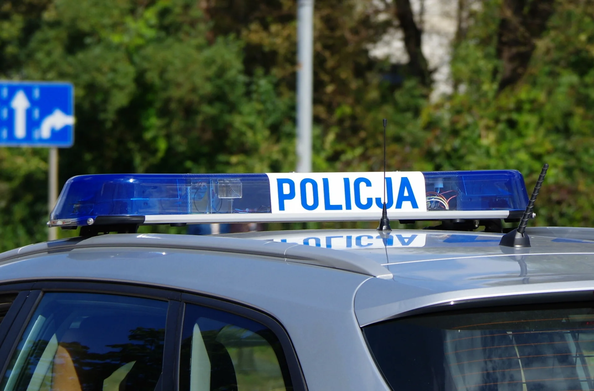 Sekcja zwłok potwierdziła, że Adrian i Dawid zginęli od postrzału w głowę.