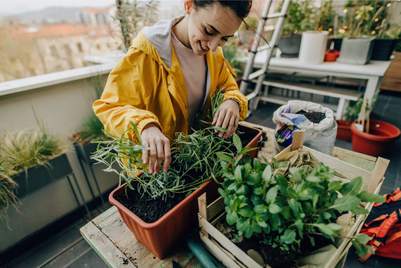 Co hodować na balkonie? Modne rośliny, które zamienią balkon w oazę