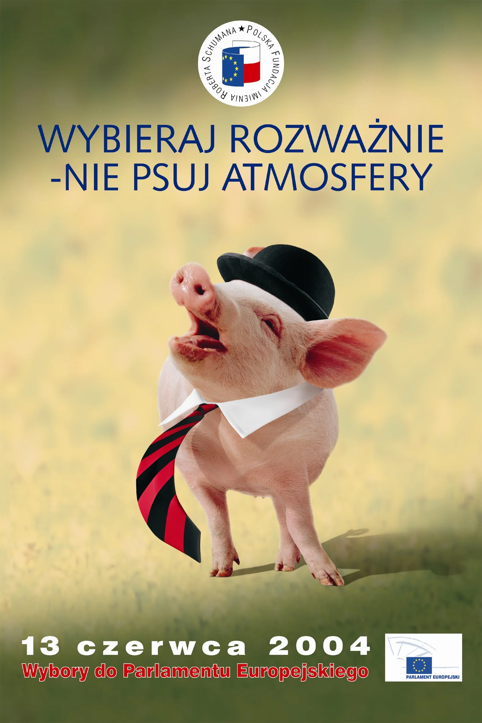 Jeden z plakatów kampanii przed wyborami do PE w 2004 roku