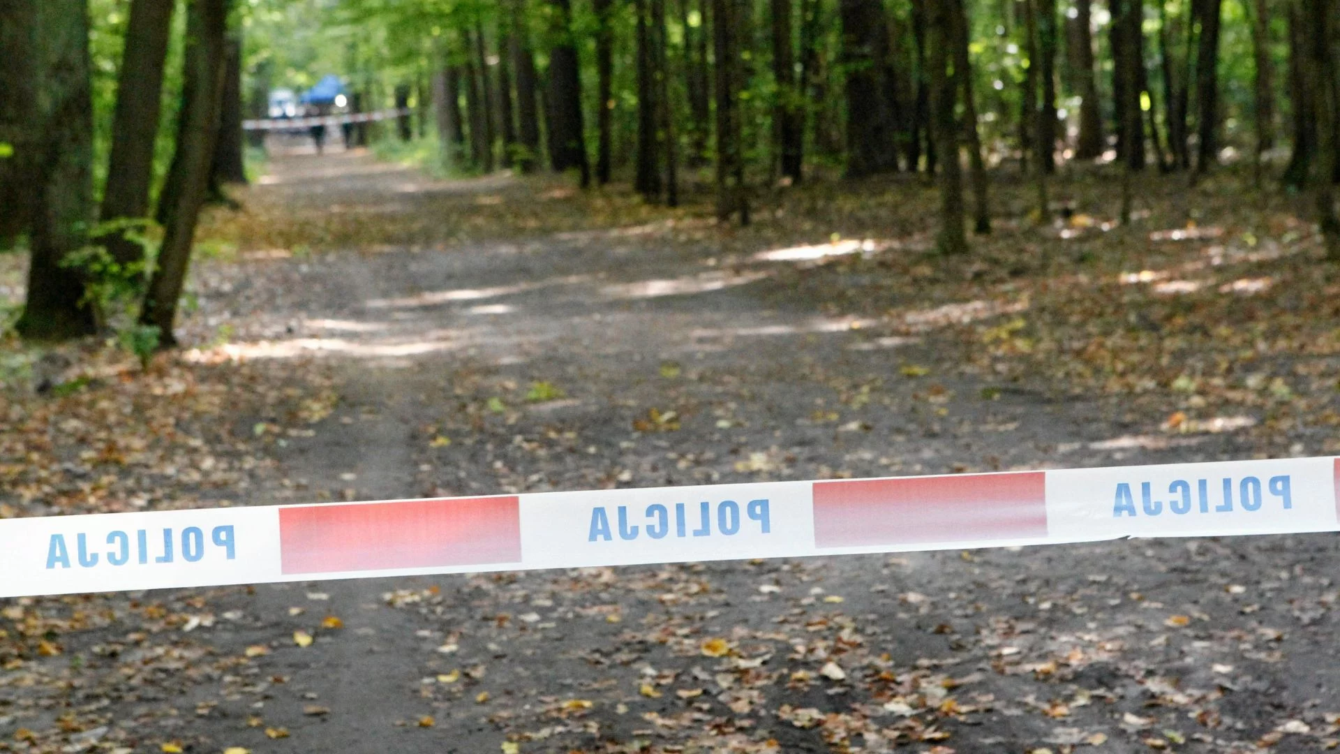 Część Polaków w czwartek dostała alerty RCB.