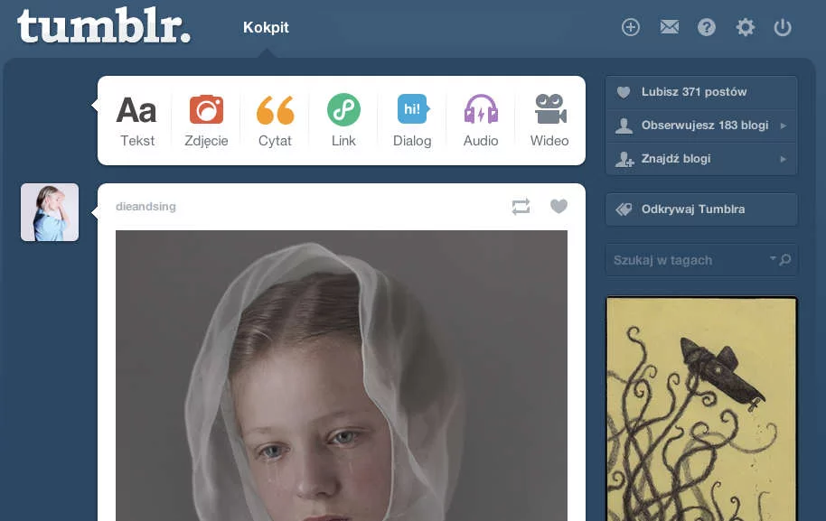 Tak wygląda kokpit tumblr