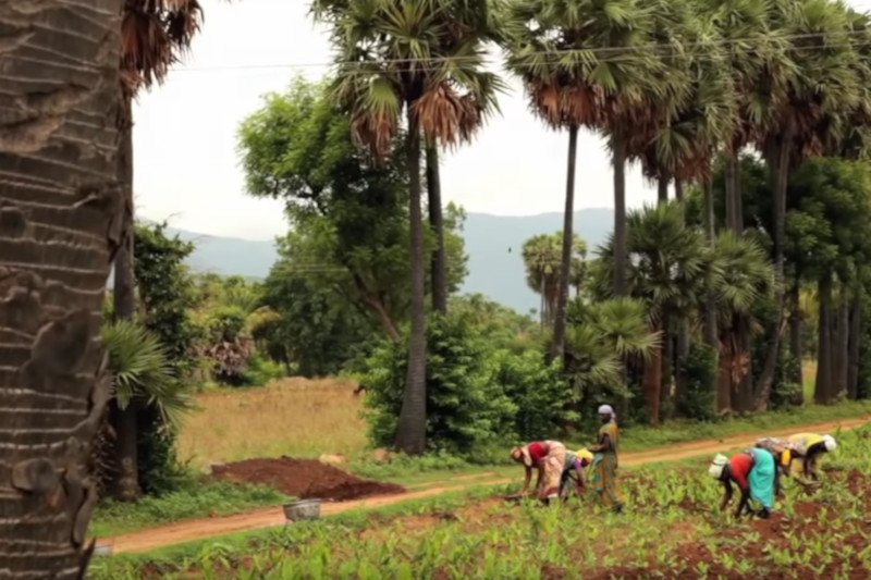 Screen z filmu "It's a Girl Documentary Film".