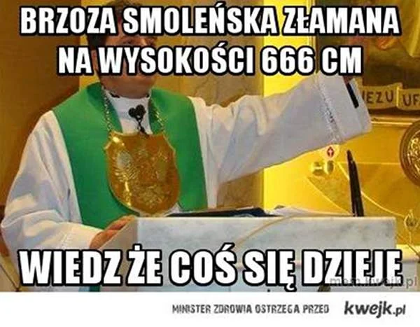 Jeden z memów poświęconych brzozie.