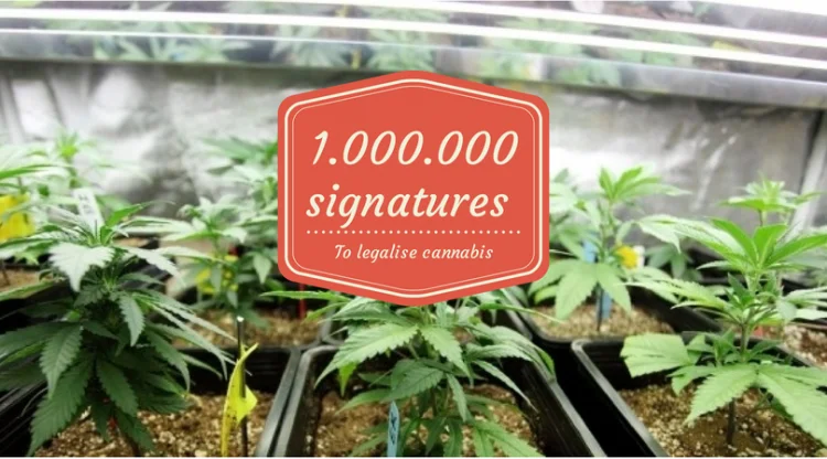 Jeśli inicjatywa zyska poparcie miliona Europejczyków, tematem legalizacji marihuany zajmie się Komisja Europejska
