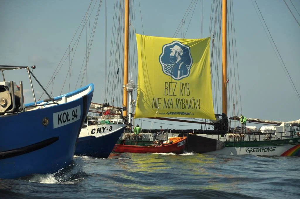 Jacht Greenpeace „Beluga” w otoczeniu flotylli łodzi rybackich przy wejściu do portu w Kołobrzegu. 13.05.2013.