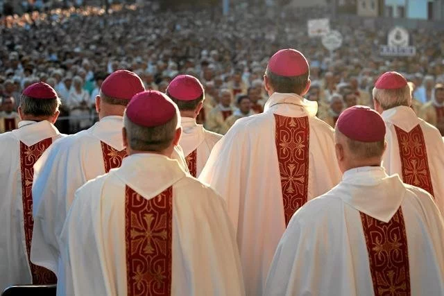 Polscy biskupi już dawno zadeklarowali, że chcą walczyć z pedofilią w Kościele. W 2013 r. we współpracy z Episkopatem rozpoczął się w Krakowie specjalny, antypedofilski kurs.