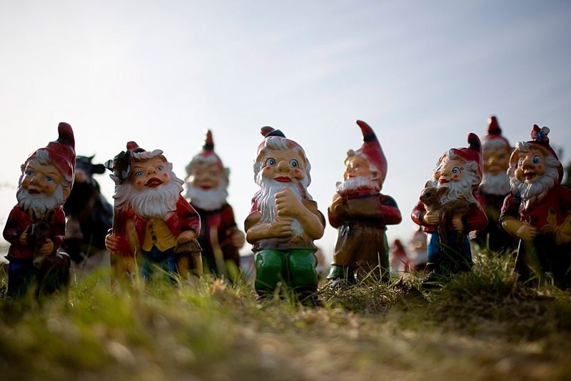 "Leśne dziadki" – to określenie pasuje m.in. do Polskiego Związku Działkowców i Kółek Rolniczych