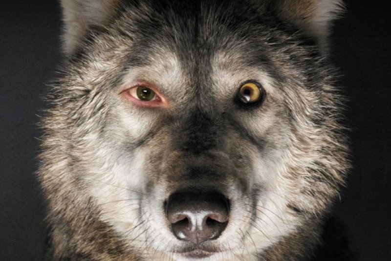 "Pokot" na podstawie powieści Olgi Tokarczuk wkrótce w kinach. Na swoje premiery - na dużym i małym ekranie - czeka jeszcze kilka innych ekranizacji polskich książek.