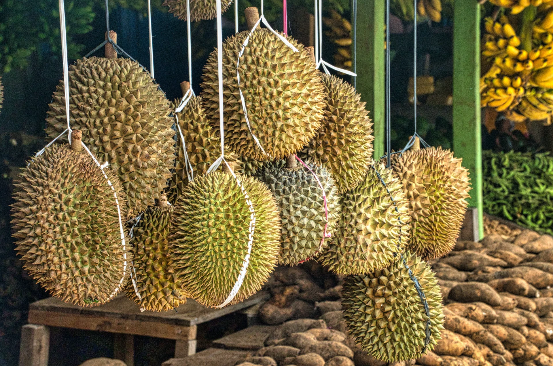Durian ma nieprzyjemny zapach.