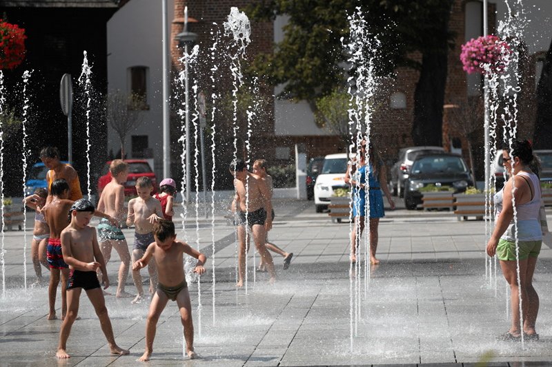 Dzięki upałom dowiedzieliśmy się wiele ciekawych rzeczy