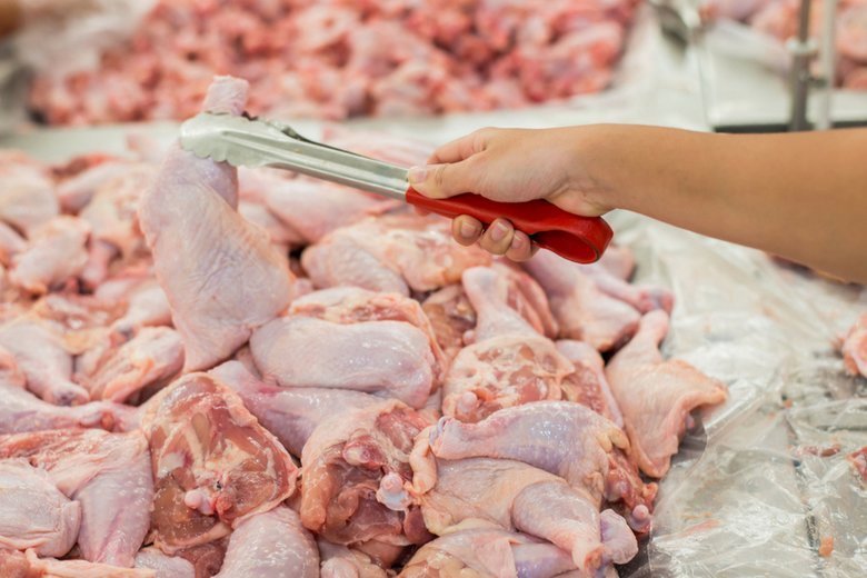 Około 300 kg drobiu z Polski było skażone salmonellą. Większość trafiła do kilku czeskich sklepów.