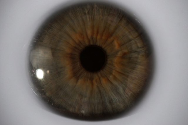 Kadr z filmu "Pod skórą"