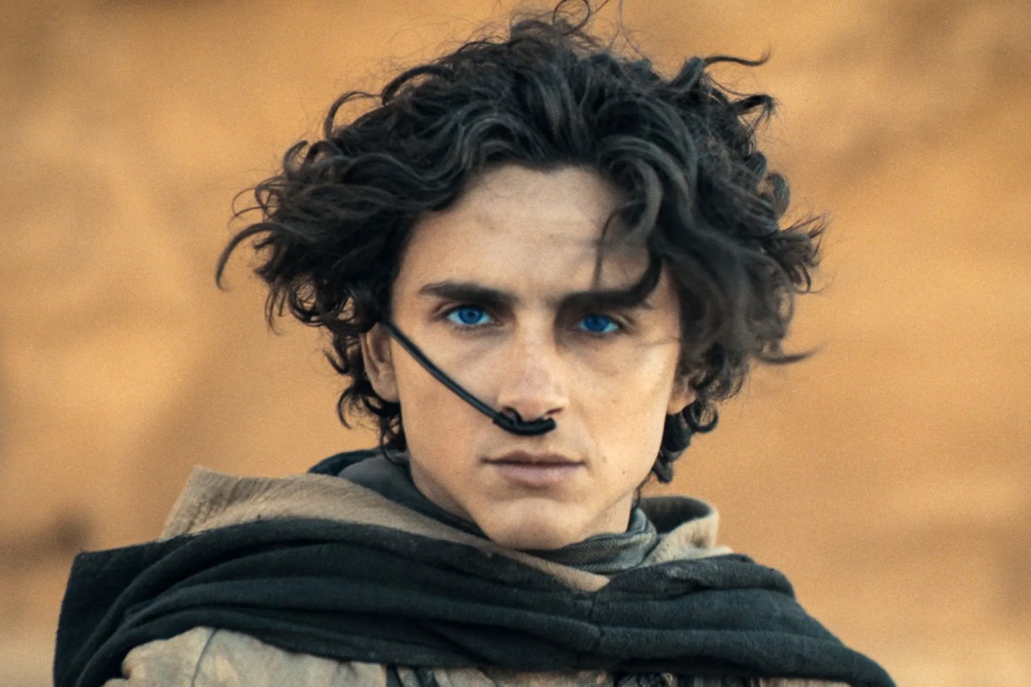 "Diuna 3" na pierwszych plakatach. Chalamet obiecywał mrok i miał rację Timothée Chalamet w filmie "Diuna: Część 2"