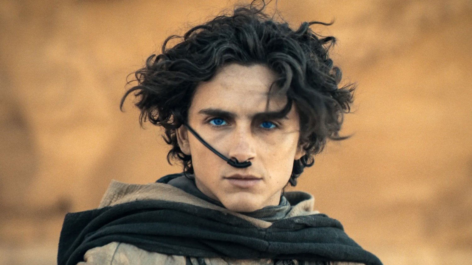 "Diuna 3" na pierwszych plakatach. Chalamet obiecywał mrok i miał rację Timothée Chalamet w filmie "Diuna: Część 2"