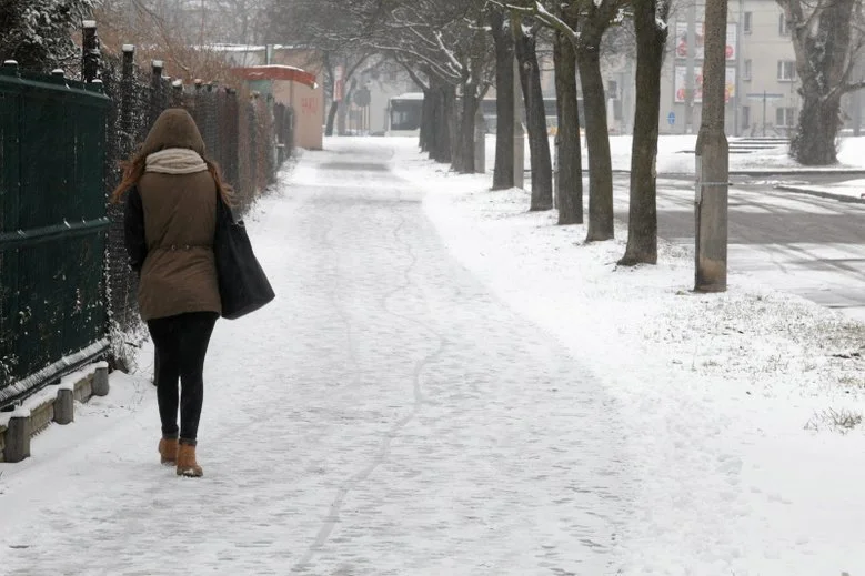 IMGW opublikował prognozę na zimę 2019/2020.