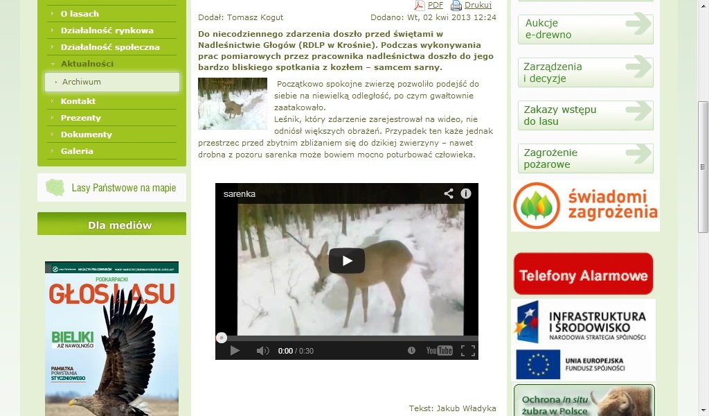 Fragment strony RDLP Krosno.