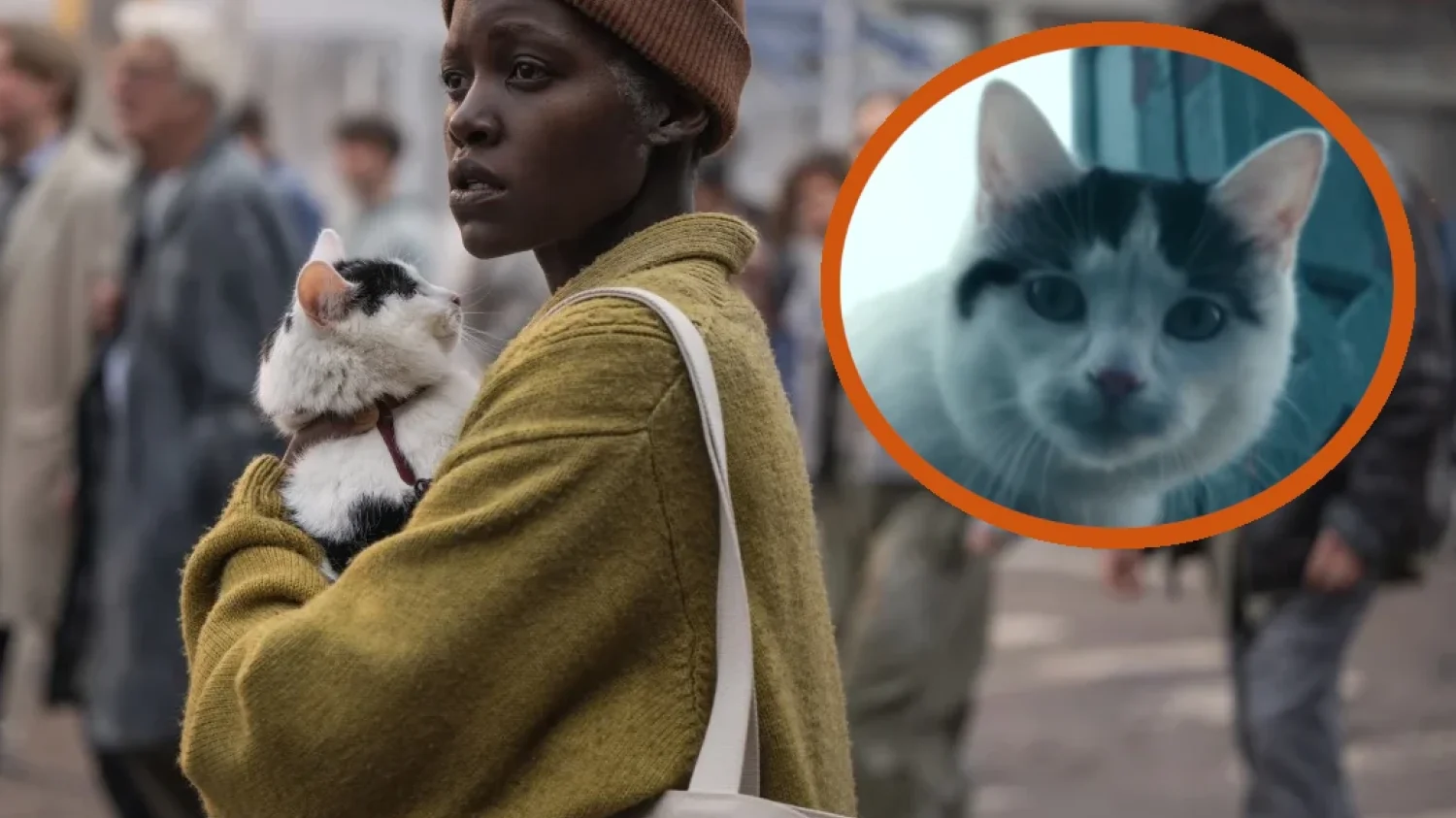 Ciche miejsce: dzień pierwszy, kot, Lupita Nyong'o