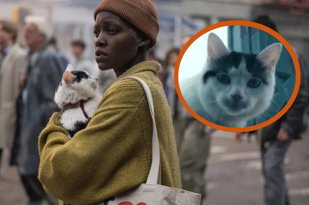 Ciche miejsce: dzień pierwszy, kot, Lupita Nyong'o Ciche miejsce: dzień pierwszy, kot, Lupita Nyong'o
