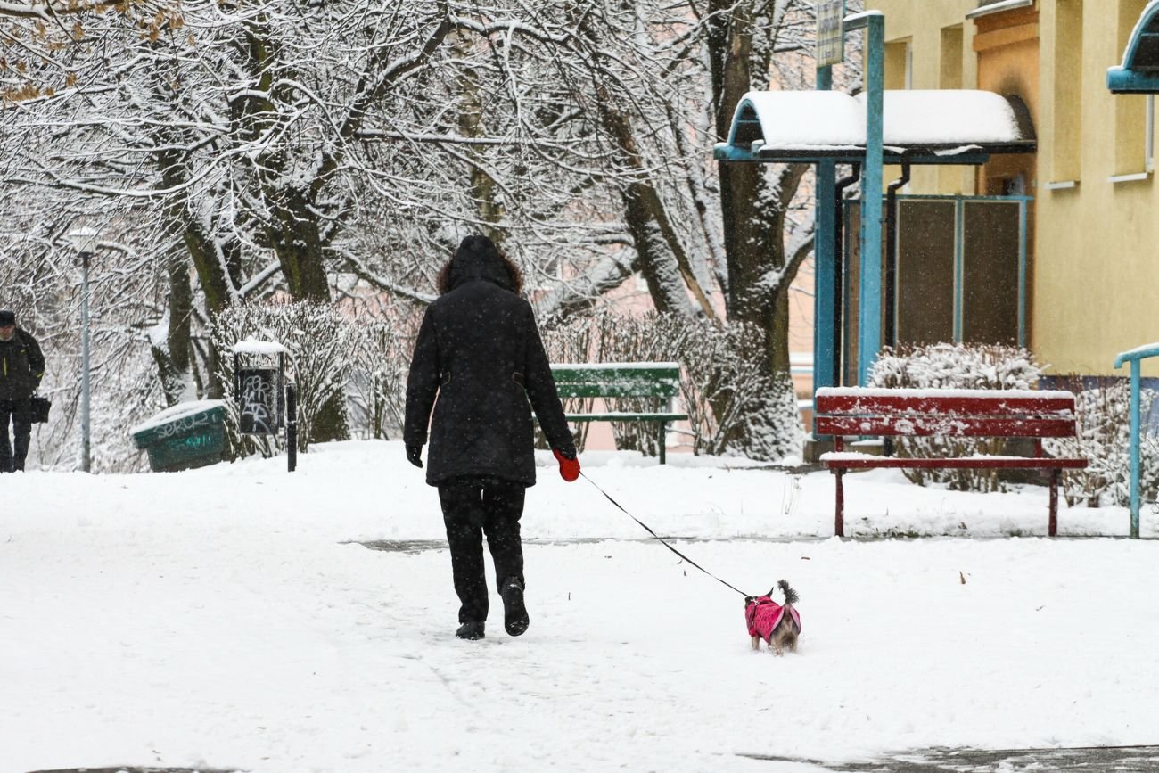 Długoterminowa prognoza pogody.