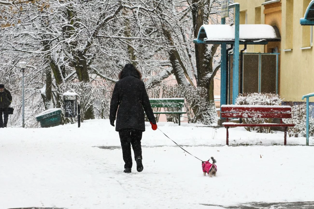 Długoterminowa prognoza pogody.