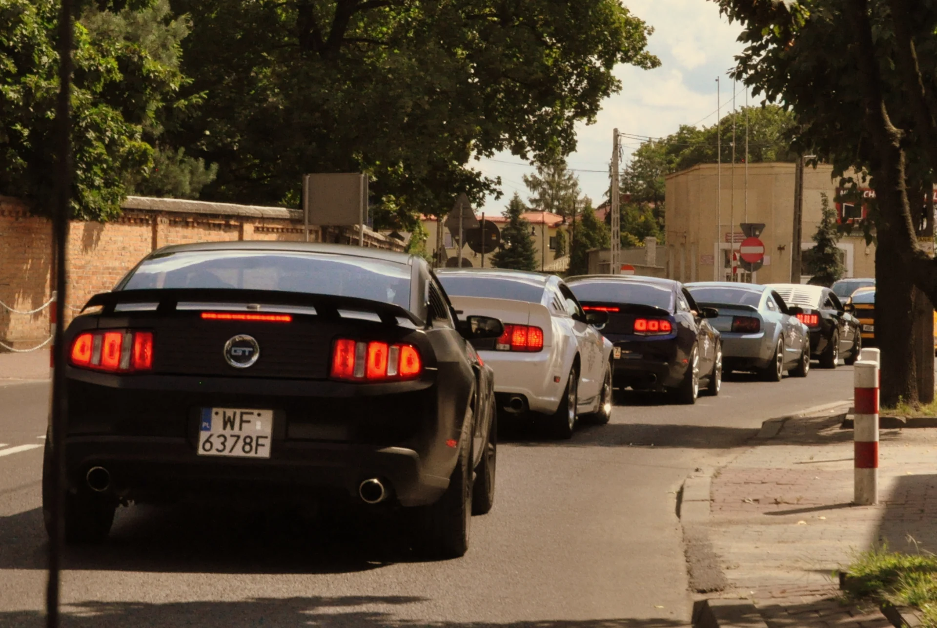 Mustang Race 2013, fot. Anna Zambrzycka