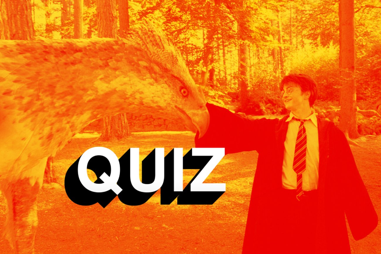 Jak dobrze znasz magiczne stworzenia ze świata "Harry'ego Pottera"? (QUIZ)