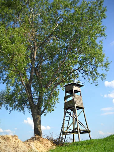 Ambona myśliwska