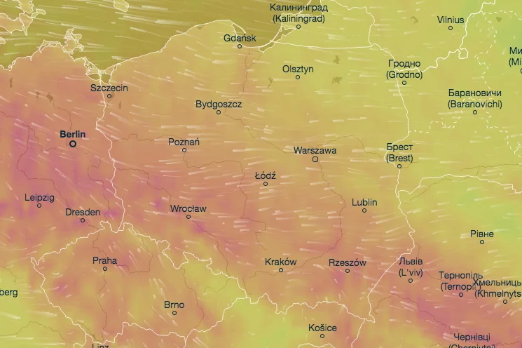 Początek jesieni zapowiada się świetnie.