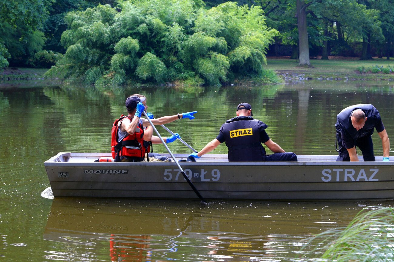 Śnięte ryby w Odrze.