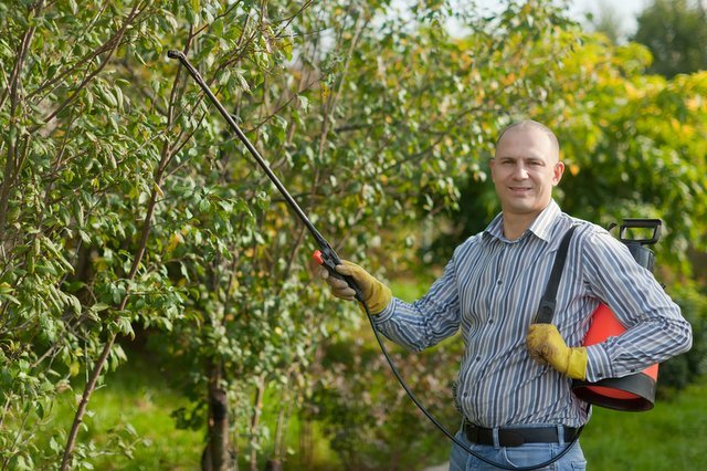 Oprysk chemiczny, do tej pory rolnicy i amatorzy mogli używać tych samych substancji. UE wprowadza słabszą chemie dla "nieprofesjonalistów"