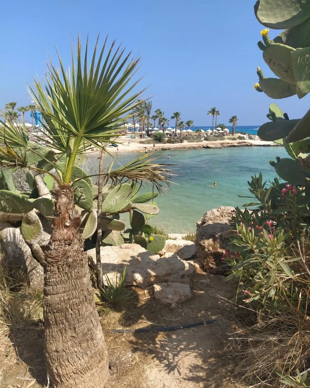 Rajska plaża Nissi na Cyprze Rajska plaża Nissi na Cyprze
