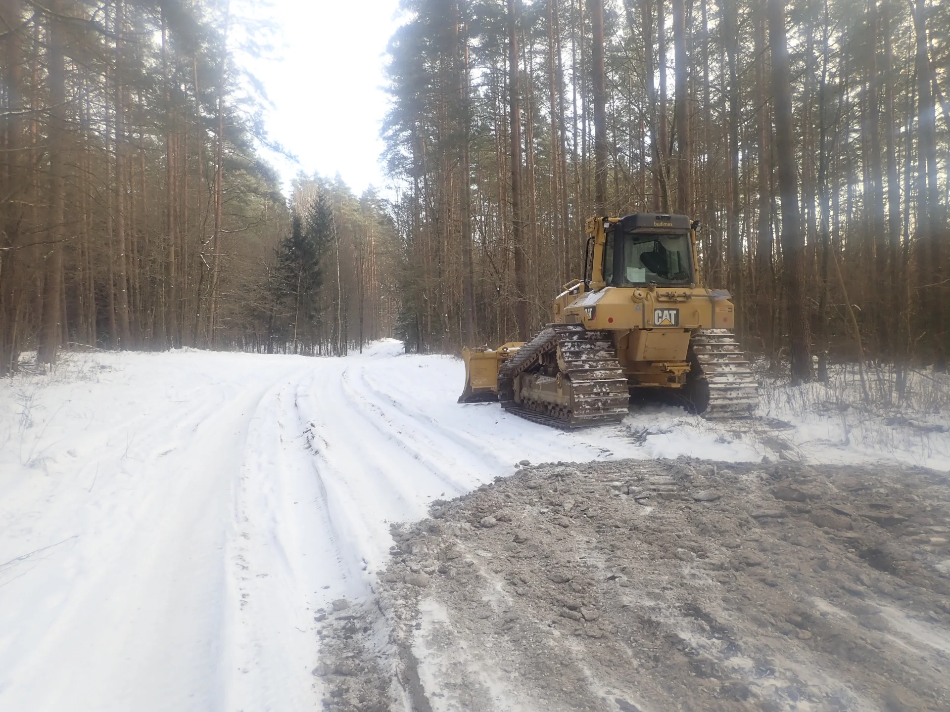 Budimex w okolicach Białowieży