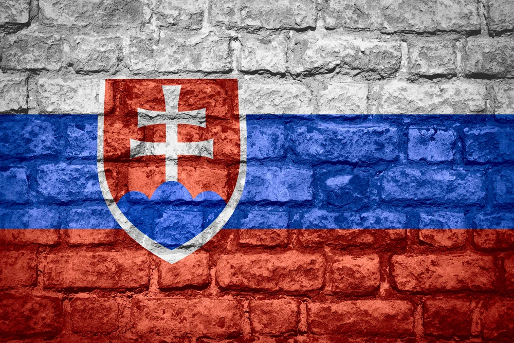 [url=http://tinyurl.com/pyscekm]Słowacka[/url]  służba zdrowia jest częściowo sprywatyzowana.