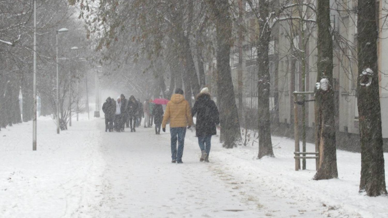 Pogoda na początek stycznia. IMGW wydało alerty