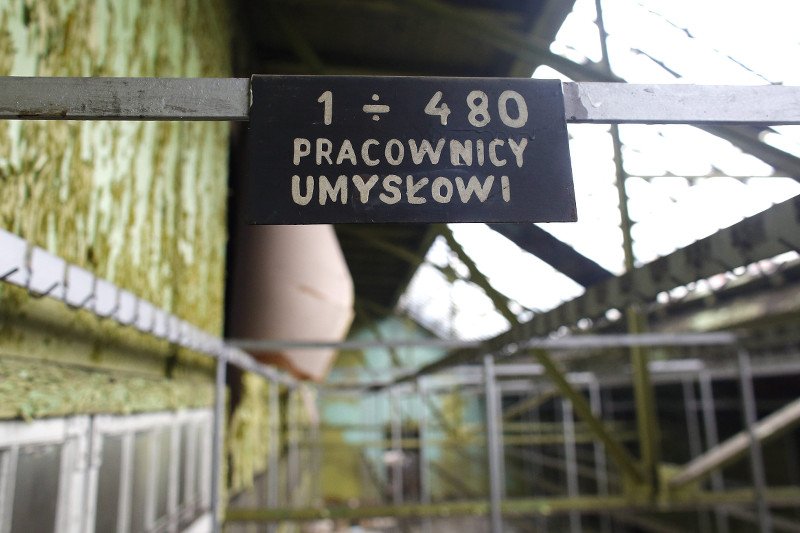 500+ wywołało kryzys kadrowy - twierdzą pracodawcy.