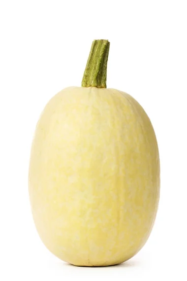 Dynia makaronowa