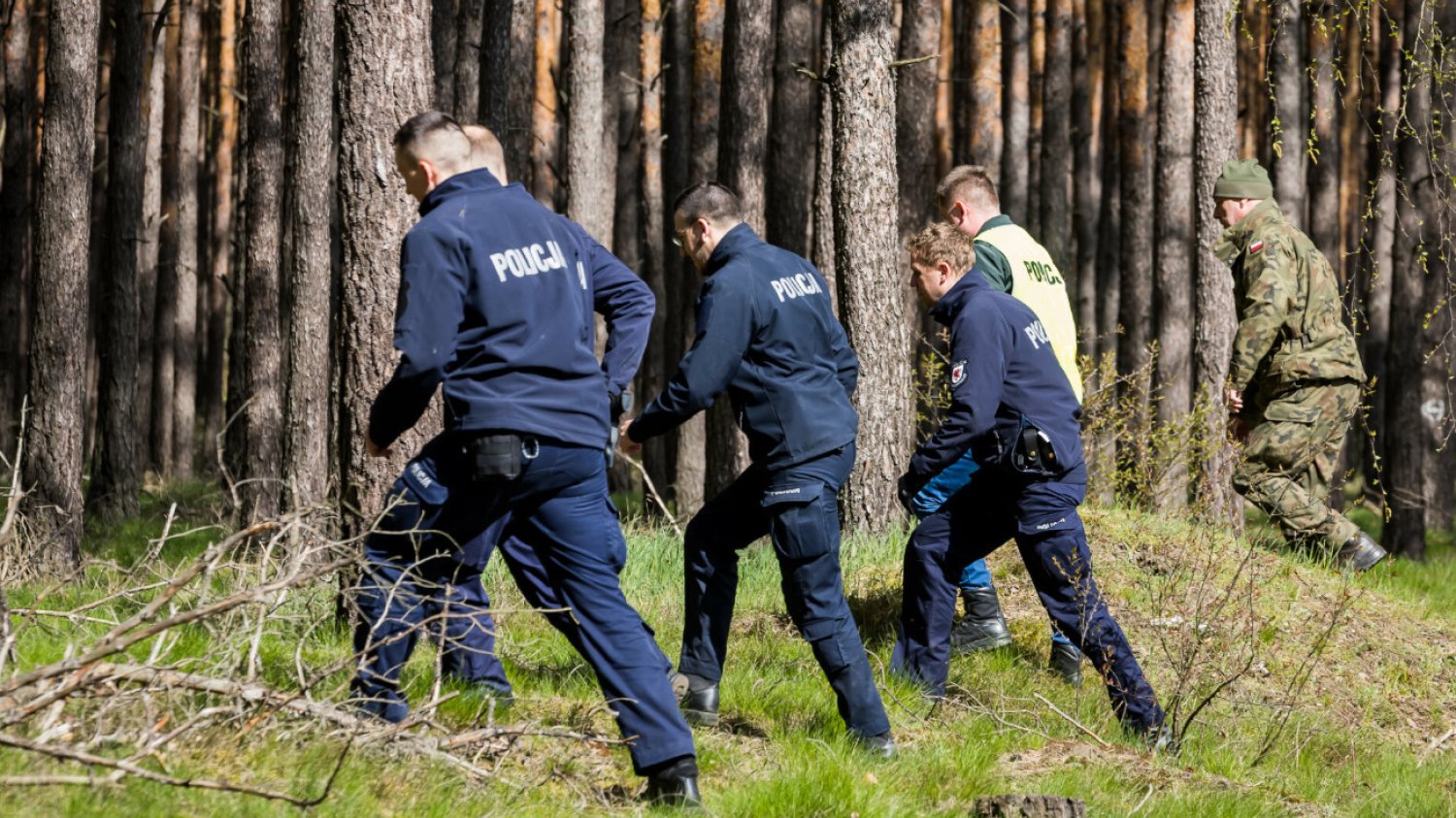 Co spadło w lesie w Zamościu pod Bydgoszczą? Co spadło w lesie w Zamościu pod Bydgoszczą?