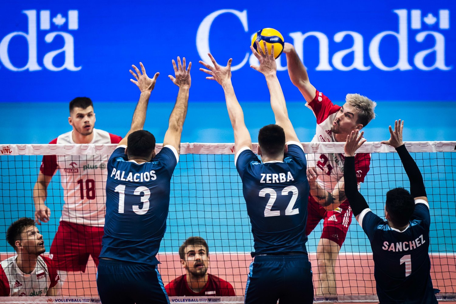 Zwycięski debiut Nikoli Grbicia w reprezentacji Polski. Argentyna pokonana w Ottawie