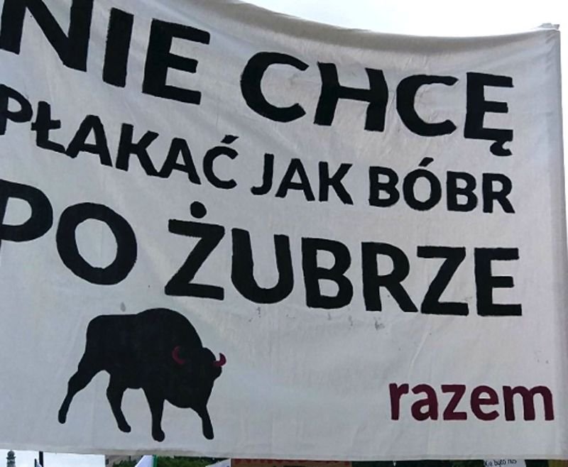 Przez ulice Warszawy przeszedł dziś "Marsz dla Puszczy"