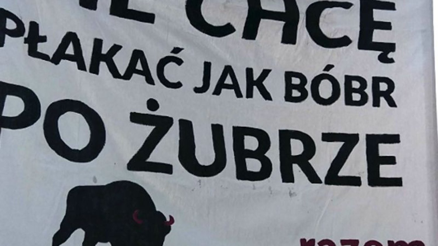 Przez ulice Warszawy przeszedł dziś "Marsz dla Puszczy"